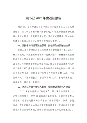 镇书记2023年度述法报告.docx