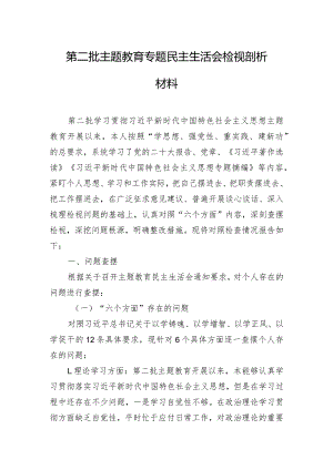 第二批主题教育专题民主生活会检视剖析材料.docx