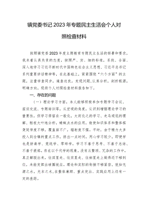 镇党委书记2023年专题民主生活会个人对照检查材料.docx