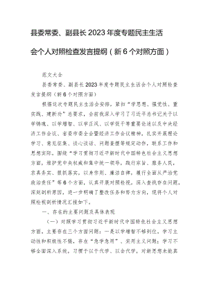 县委常委、副县长2023年度专题民主生活会个人对照检查发言提纲（新6个对照方面）.docx
