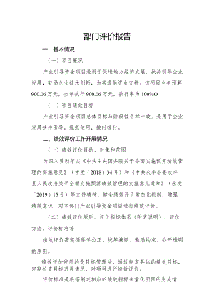 部门评价报告.docx