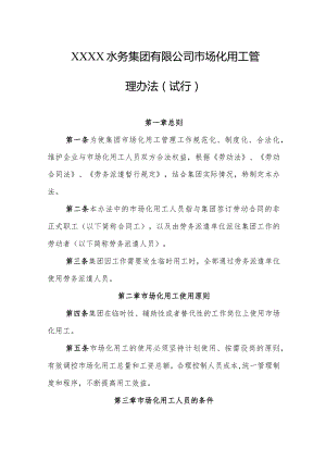 水务集团有限公司市场化用工管理办法（试行）.docx