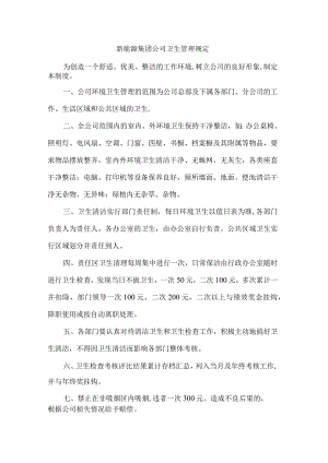 新能源集团公司卫生管理规定.docx