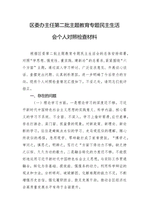 区委办主任第二批主题教育专题民主生活会个人对照检查材料.docx