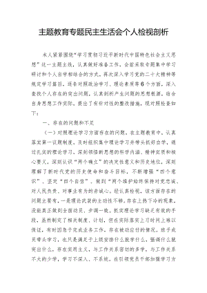 主题教育专题民主生活会个人检视剖析.docx
