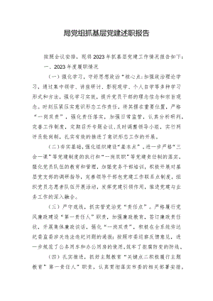 局党组抓基层党建述职报告.docx