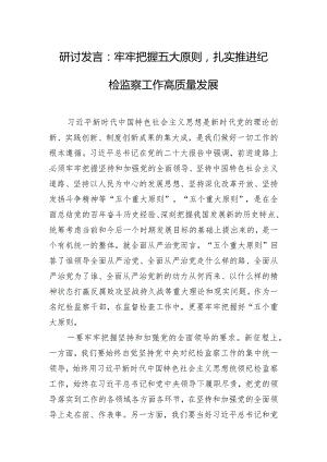 研讨发言：牢牢把握五大原则扎实推进纪检监察工作高质量发展.docx