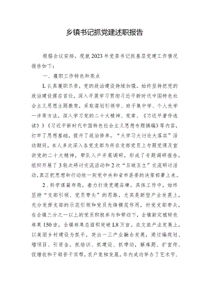 乡镇书记抓党建述职报告.docx