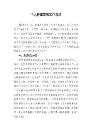 个人转正定级工作总结.docx