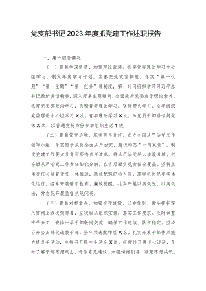 党支部书记2023年度抓党建工作述职报告.docx