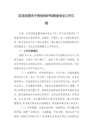 区发改委关于耕地保护和粮食安全工作汇报.docx