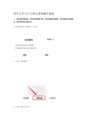 青年大学习个人积分查询操作指南.docx