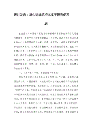 研讨发言：凝心铸魂筑根本 实干担当促发展.docx