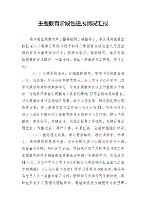 主题教育阶段性进展情况汇报.docx