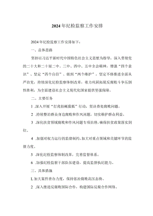 2024年纪检监察工作安排.docx