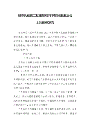 副市长在第二批主题教育专题民主生活会上的剖析发言.docx