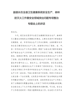 副县长在全县卫生健康系统安全生产、森林防灭火工作暨安全领域突出问题专项整治专题会上的讲话.docx