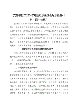 支部书记2023年专题组织生活会对照检查材料（四个检视）.docx