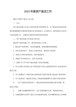 2023年度资产盘活工作.docx