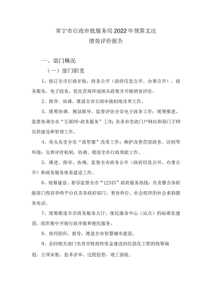 常宁市行政审批服务局2022年预算支出绩效评价报告.docx