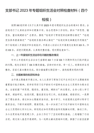 支部书记2023年专题组织生活会对照检查材料（四个检视）.docx