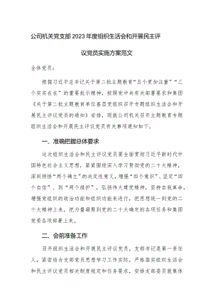 公司机关党支部2023年度组织生活会和开展民主评议党员实施方案范文.docx