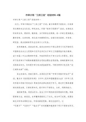 市审计局“三抓三促”经验材料4篇.docx