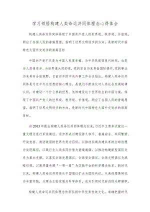 学习领悟构建人类命运共同体理念心得体会.docx
