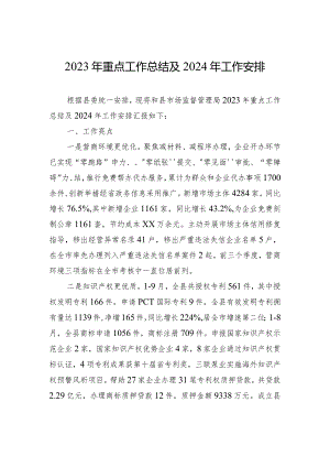 2023年重点工作总结及2024年工作安排（20240108）.docx