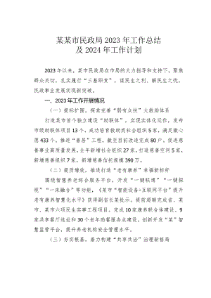 某某市民政局2023年工作总结及2024年工作计划.docx