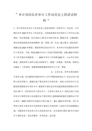 -审计局局长在审计工作动员会上的讲话材料-.docx