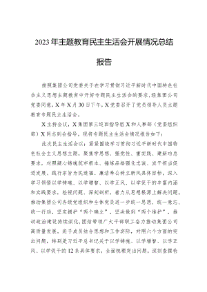 2023年主题教育民主生活会开展情况总结报告.docx