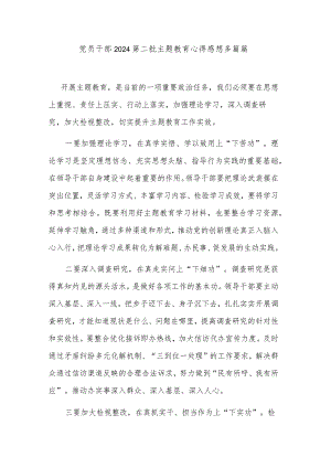 党员干部2024第二批主题教育心得感想多篇篇.docx