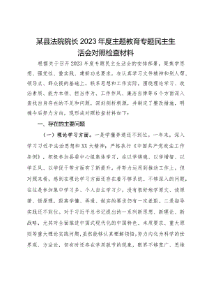 某县法院院长2023年度主题教育专题民主生活会对照检查材料.docx
