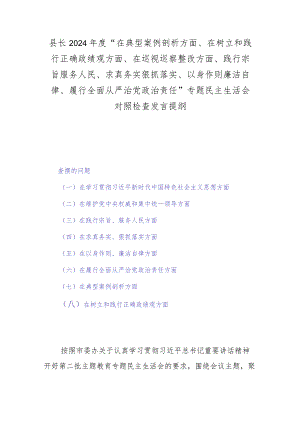 县长2024年度“在典型案例剖析方面、在树立和践行正确政绩观方面、在巡视巡察整改方面、践行宗旨服务人民、求真务实狠抓落实、以身作则廉.docx