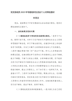 党支部成员2023年专题组织生活会个人对照检查材料范文.docx