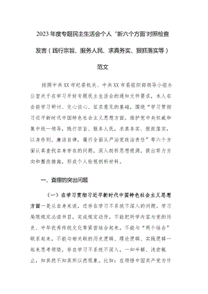 2023年度专题民主生活会个人“新六个方面”对照检查发言(践行宗旨、服务人民、求真务实、狠抓落实等)范文.docx