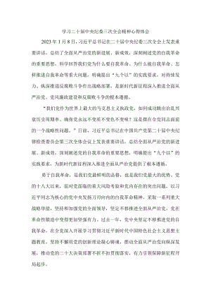学习二十届中央纪委三次全会精神心得体会三.docx