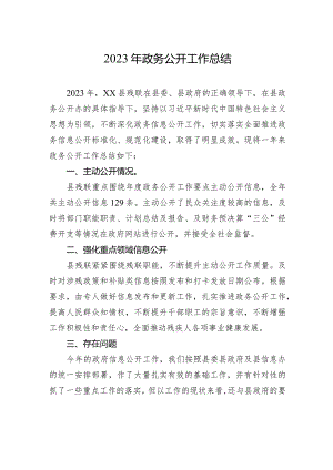 2023年政务公开工作总结 (20240105).docx