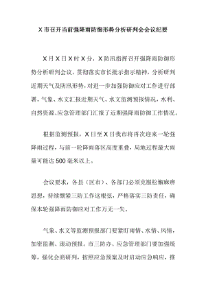X市召开当前强降雨防御形势分析研判会会议纪要.docx