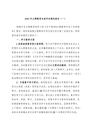 3篇局党委2023-2024主题教育开展情况自查评估情况报告.docx