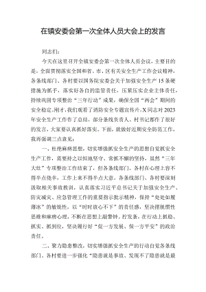 在镇安委会第一次全体人员大会上的发言.docx