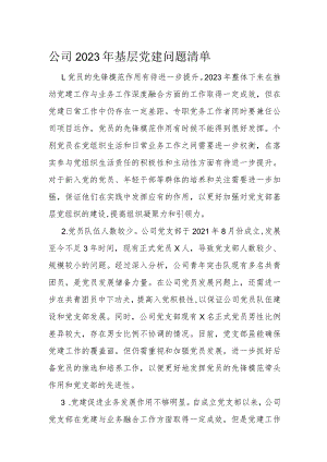 公司2023年基层党建问题清单.docx