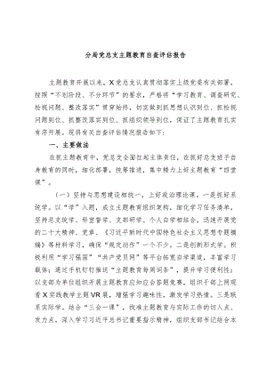 3篇分局党总支2023-2024年度主题教育情况自查评估报告.docx
