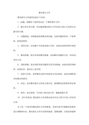 整改报告文件.docx