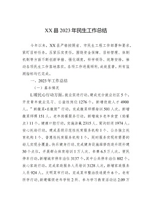 XX县2023年民生工作总结(20240105).docx
