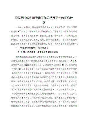 县某局2023年党建工作总结及下一步工作计划.docx