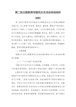 第二批主题教育专题民主生活会检视剖析材料（典型案例).docx