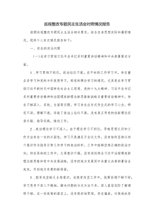 巡视整改专题民主生活会对照情况报告.docx