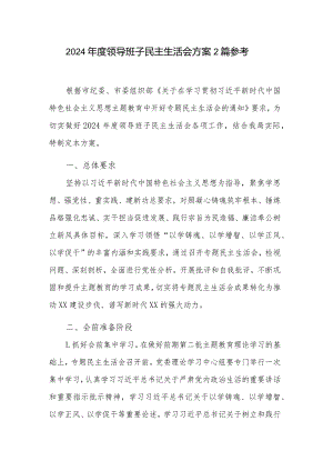 2024年度领导班子民主生活会方案2篇参考.docx